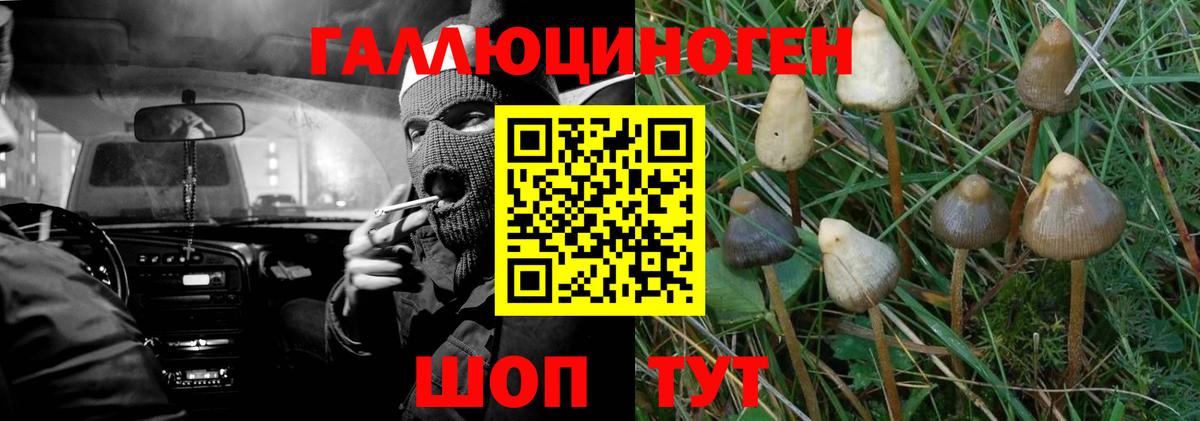 Псилоцибиновые грибы MAGIC MUSHROOMS Алушта