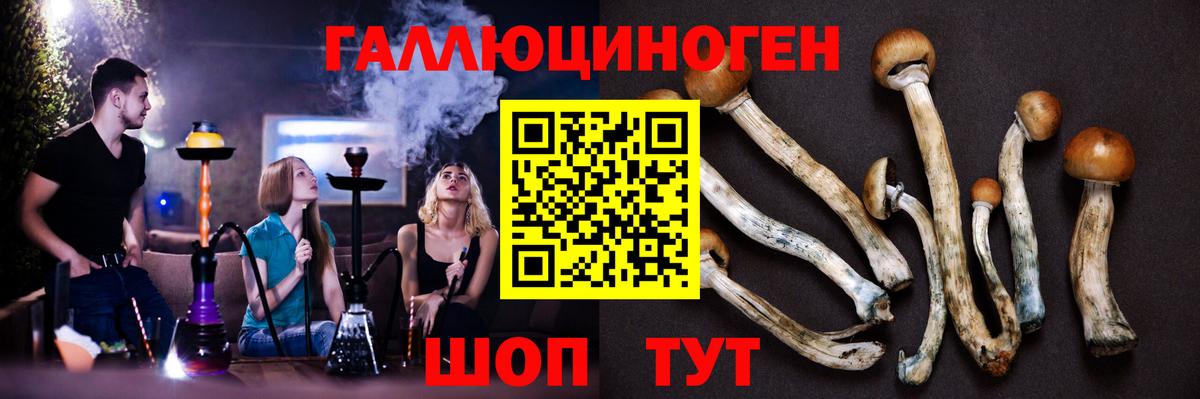 Галлюциногенные грибы Magic Shrooms  Вход с VPN  наркота  Алушта 